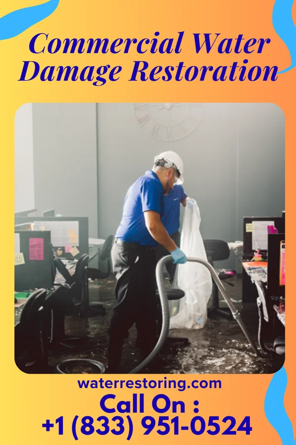 Commercial Water Damage Restoration in Jackson, NE