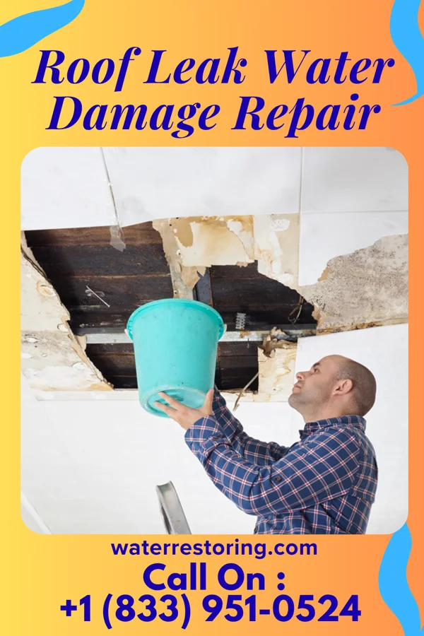 Roof Leak Water Damage Repair in Jackson, NE